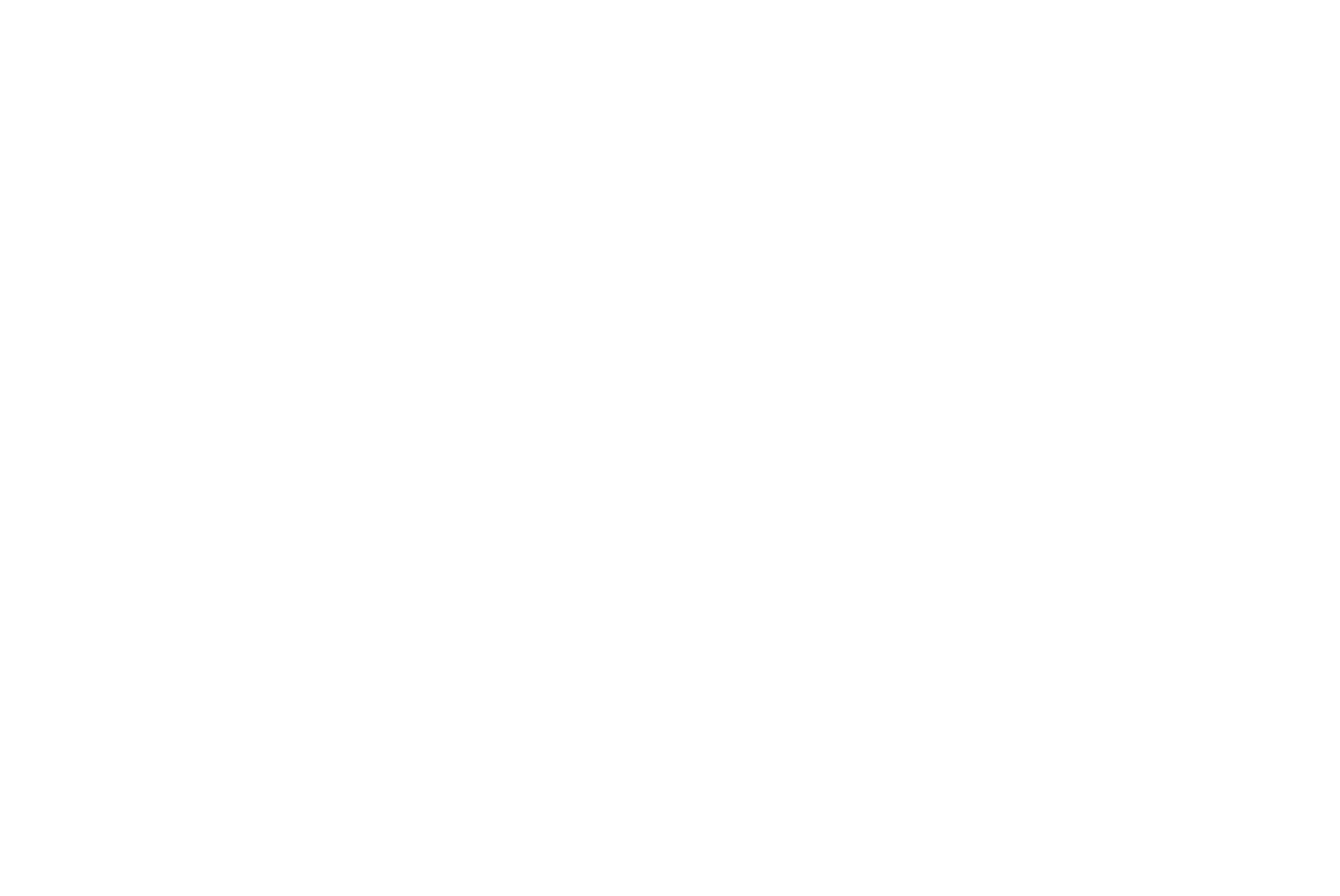 Quantica Lab Mascot